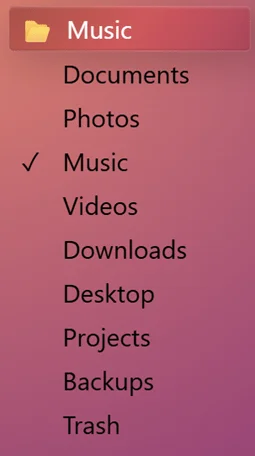 A select element with expanded options formatted as text in a single vertical list. An option called music is selected and represents the top picker button which is styled with a folder icon to the left of the text label.